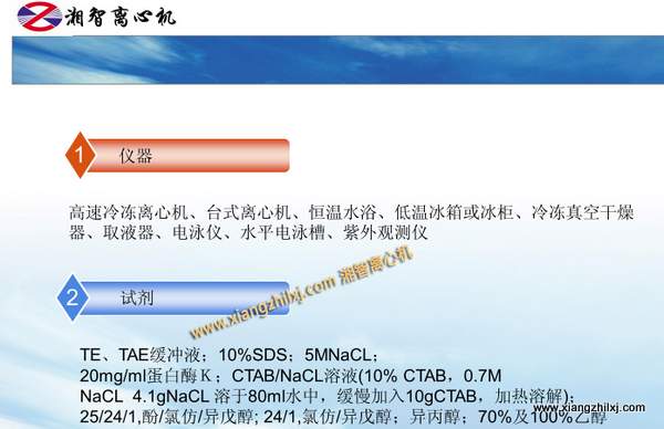 用高速離心機(jī)提取細(xì)菌DNA的課件